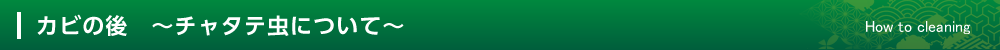 カビの後 ~チャタテ虫について~ How to cleaning
